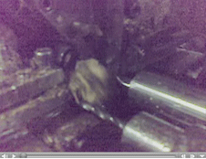 Video 4